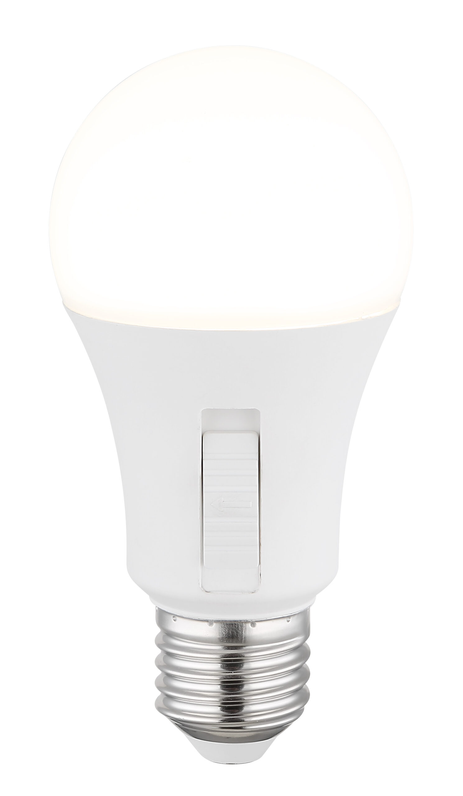 LED LEUCHTMITTEL KUNSTSTOFF OPAL, 1XE27 LED