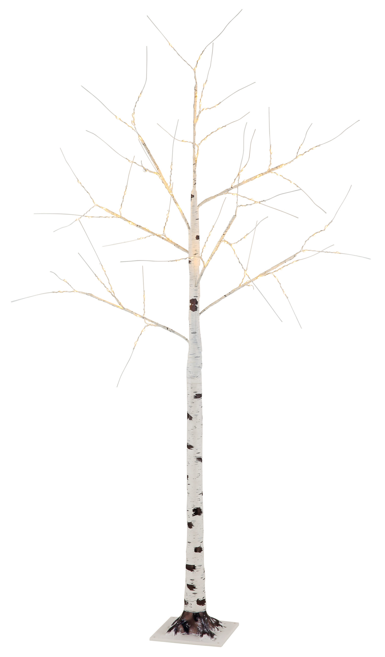 BIRCH