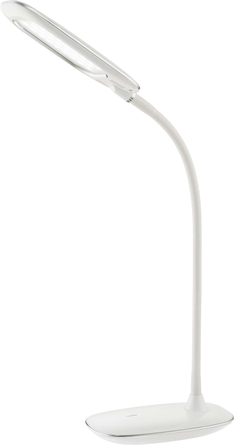 MINEA I