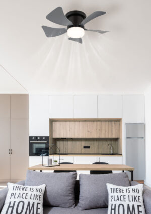 Ventilator HINES