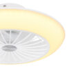 Ventilator LAFEE