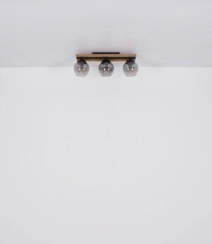 Plafonska lampa CONNI