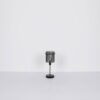 Plafonska lampa GORLEY