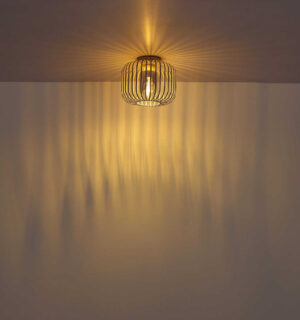 Plafonska lampa ALFRED