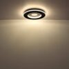 Plafonska lampa MARSH