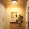 Plafonska lampa ZARA
