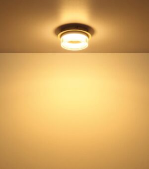 Plafonska lampa ZARA