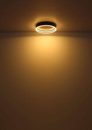 Plafonska lampa HEDI