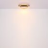 Plafonska lampa LUFFY