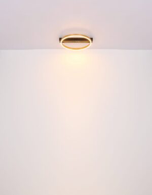 Plafonska lampa LUFFY