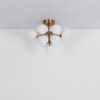 Plafonska lampa GRAPPY