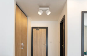 LED Spot rasvjeta RAE