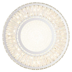 Plafonska lampa MUCKY