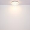 Plafonska lampa MUCKY