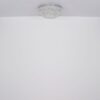 Plafonska lampa MUCKY