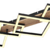 Plafonska lampa BEATRIX