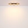 Plafonska lampa BEATRIX
