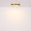 Plafonska lampa BEATRIX