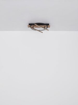 Plafonska lampa BEATRIX