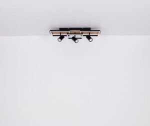 Plafonska lampa KASSU