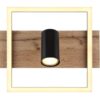 Plafonska lampa KASSU