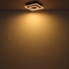 Plafonska lampa WOODY
