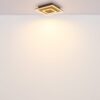 Plafonska lampa WOODY