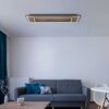 Plafonska lampa WOODY