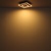 Plafonska lampa WOODY