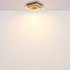 Plafonska lampa WOODY