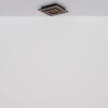 Plafonska lampa WOODY