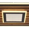 Plafonska lampa WOODY