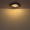 Plafonska lampa WOODY