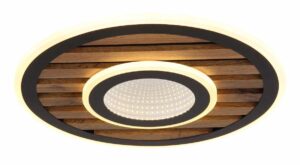 Plafonska lampa WOODY