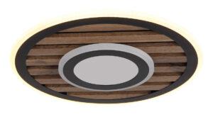 Plafonska lampa WOODY