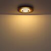 Plafonska lampa WOODY