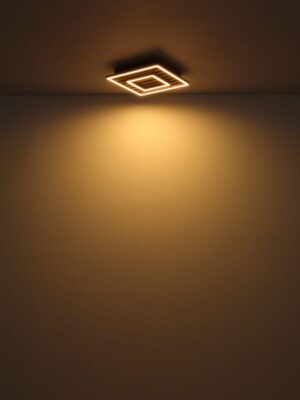 Plafonska lampa WOODY