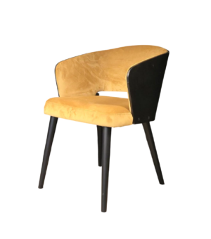 Stolica ELA